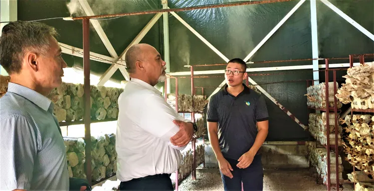 台諾農業合作。翻攝自中華民國（臺灣）駐諾魯共和國大使館
