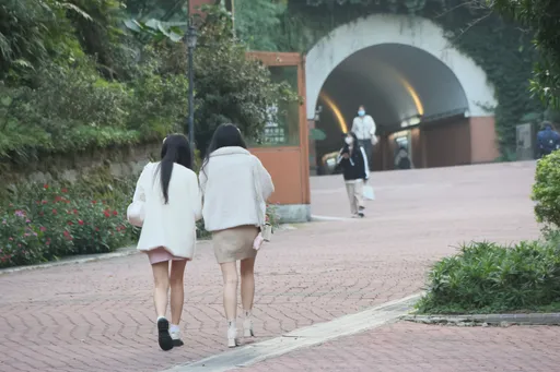 毛小孩熱潮！高中生最愛的大學科系出爐　獸醫系全數上榜