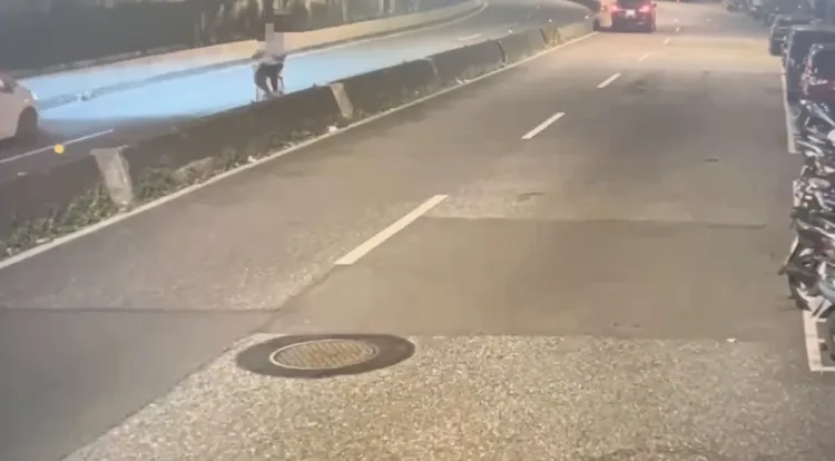 周遭監視器拍下王男車禍前身影。翻攝畫面