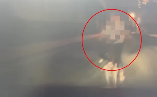 命大！單車騎士逆向衝快速道路　迎面遭撞僅受輕傷