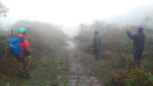 「霸王寒流」再現? 專家:陽明山下雪機率75%!時間曝光
