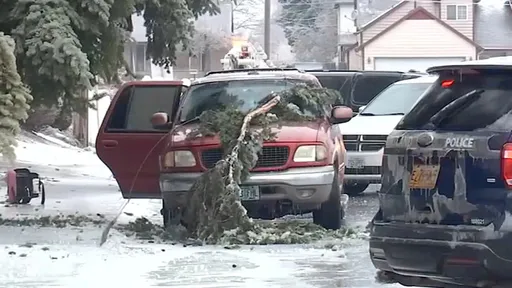 電線墜落休旅車「3人逃生反被電死」 僅懷中嬰兒奇蹟保命