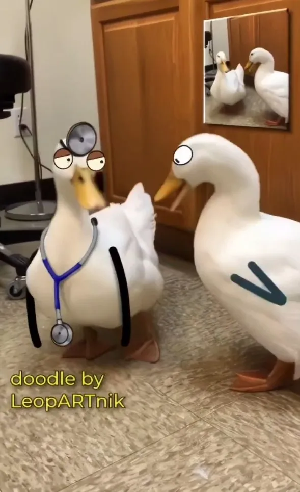 鴨子醫生看診卡通版。IG @leopartnik 提供