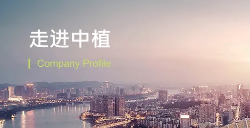 「中國版雷曼」中植集團爆雷申請破產清算　今獲北京法院受理