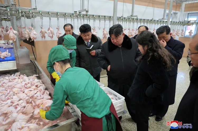 黃川新建的現代化養雞場號稱可年產數千公噸雞肉。路透社
