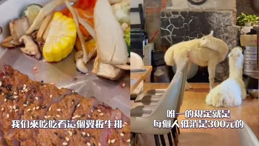 低消敢收300元 快來看陽明山草泥馬餐廳有什麼特色