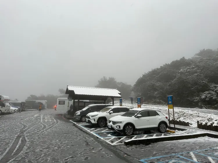 二子坪停車場。保七刑大提供