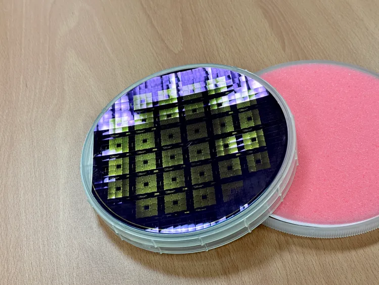 雙模式二維電子元件。王良博攝