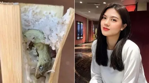 竹筒飯撬開「驚現整隻壁虎」　正妹傻眼：難怪像烤肉一樣香