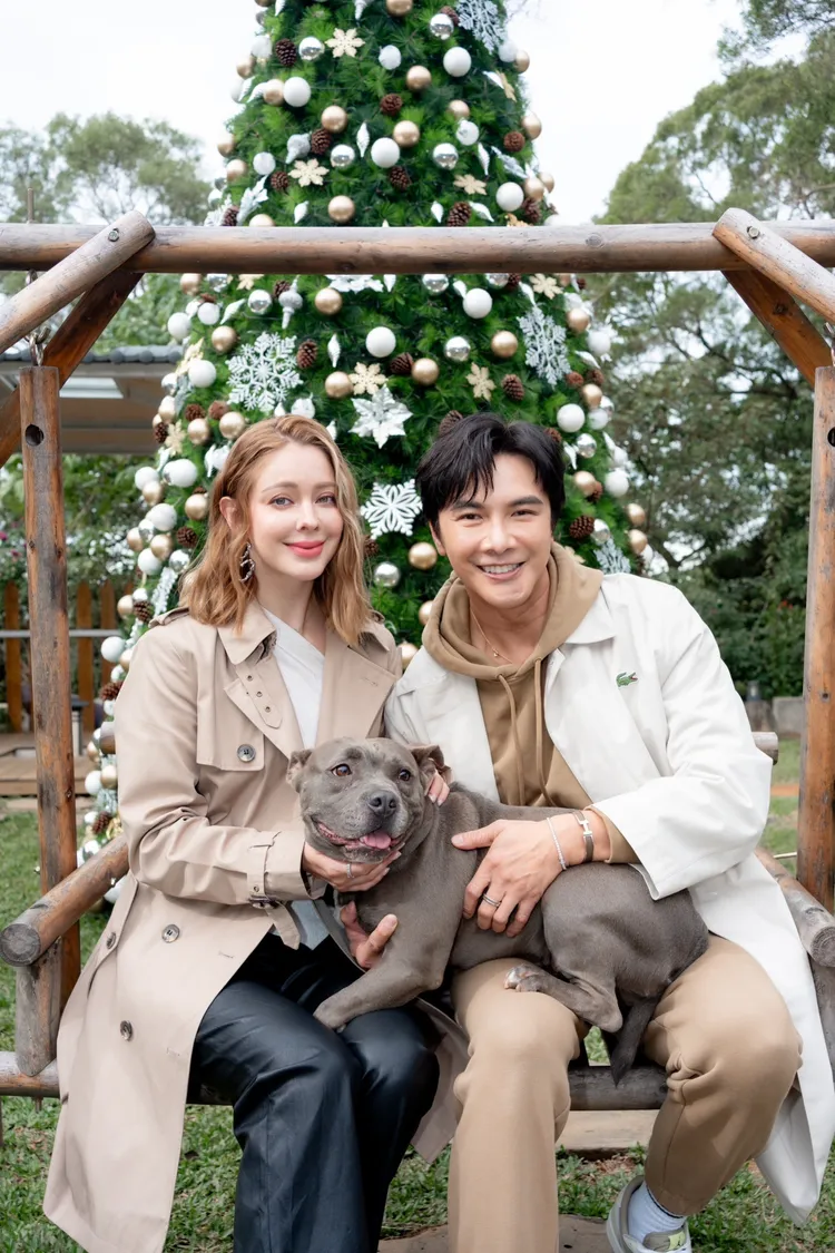 安妮、謝佳見與溫順的狗兒親密互動。親善動物保護協會提供