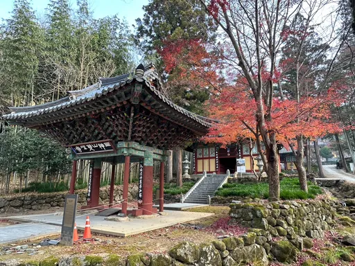 韩国市区寺庙少原因曝 青年流行来去住1晚!境内高档绿茶95%来自河东