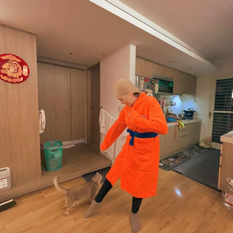 傻眼貓咪。翻攝anno8o7 IG