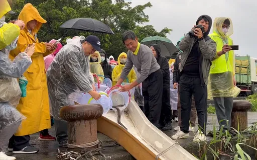 鰻苗明起禁捕至10月 違者最高罰15萬