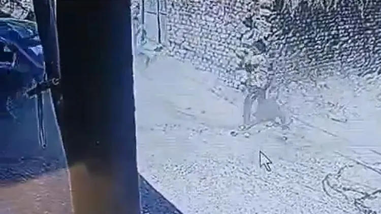 父親抱著女兒在轎車後方追趕。翻攝自推特