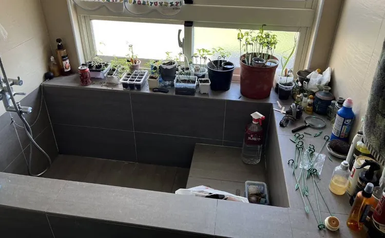 詹嫌利用家中浴室栽種大麻。民眾提供