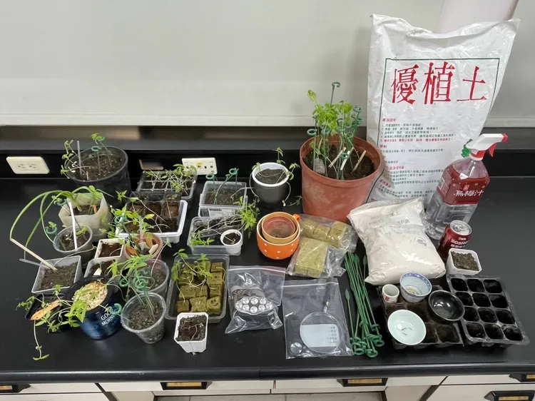 警方查扣上百株大麻及栽種工具。民眾提供