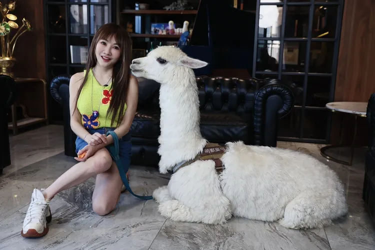 王宥忻在豪宅內飼養草泥馬。彭欣偉攝