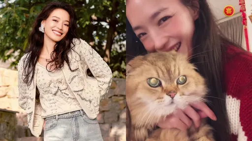 舒淇淡妝抱愛貓拜年美成這樣　送舊有感而發吐心聲