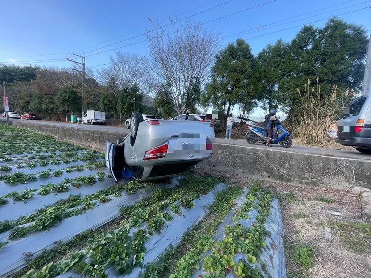目前正值草莓季，相關損失由園主估算中。民眾提供