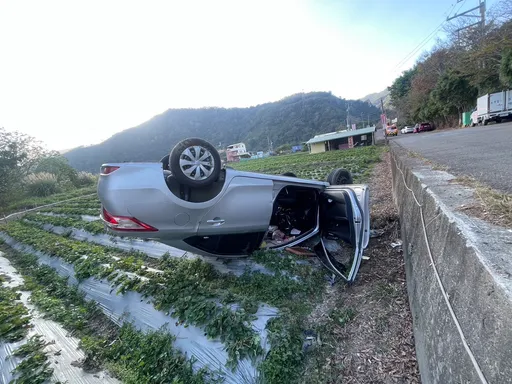 苗栗大湖採草莓 轎車摔進草莓田!四輪朝天2人狼狽逃出