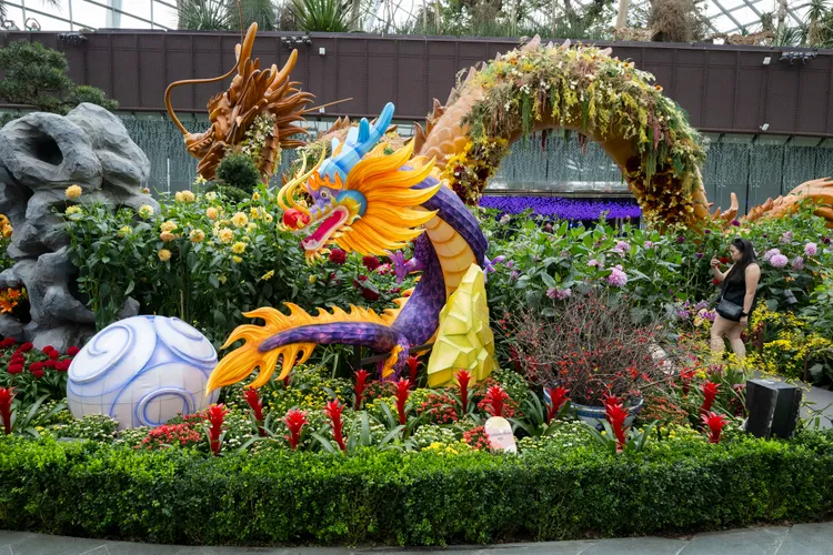 新加坡濱海灣花園的龍年裝飾。新華社