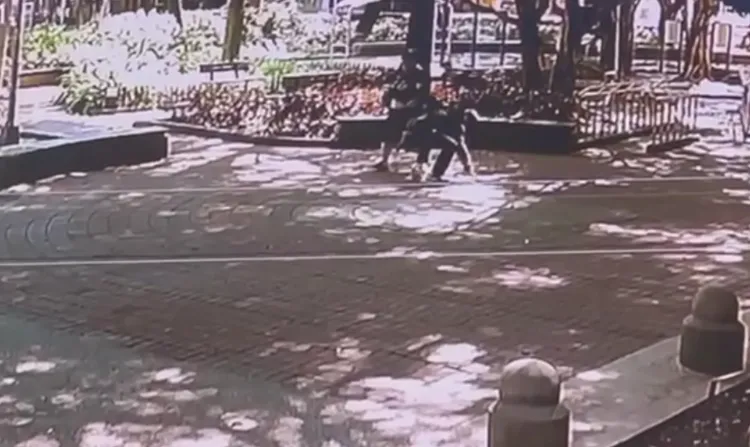 雙方在公園內拉扯。翻攝畫面