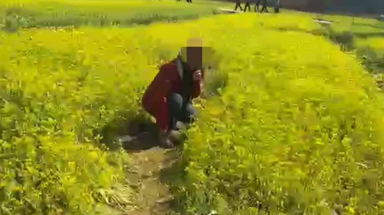 小編勸別踩花田，大媽似乎沒聽懂，還說「沒關係，我們一下就好了」。翻攝自武陵農場臉書