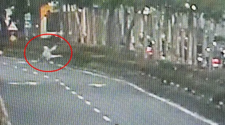 曾女於街頭人肉檔車。翻攝畫面