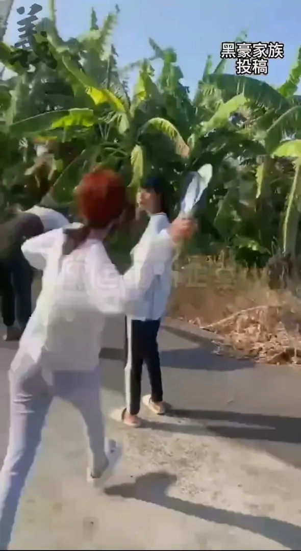 10名青少年圍毆少女。翻攝黑豪家族