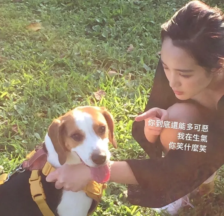 勘吉（左）是王淨收養的浪浪。翻攝勘吉IG