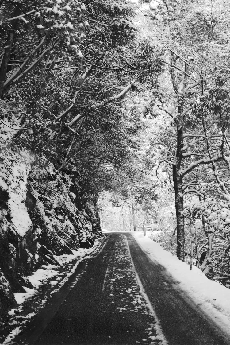 攝影展作品。林予晞提供