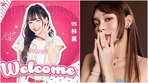 中職震撼彈!林襄加盟「故鄉」球隊味全龍 首秀日期曝光