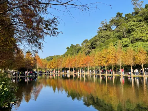 春節何處去?龍來桃喜 來桃園賞花、賞景、吃美食!祈福好運來