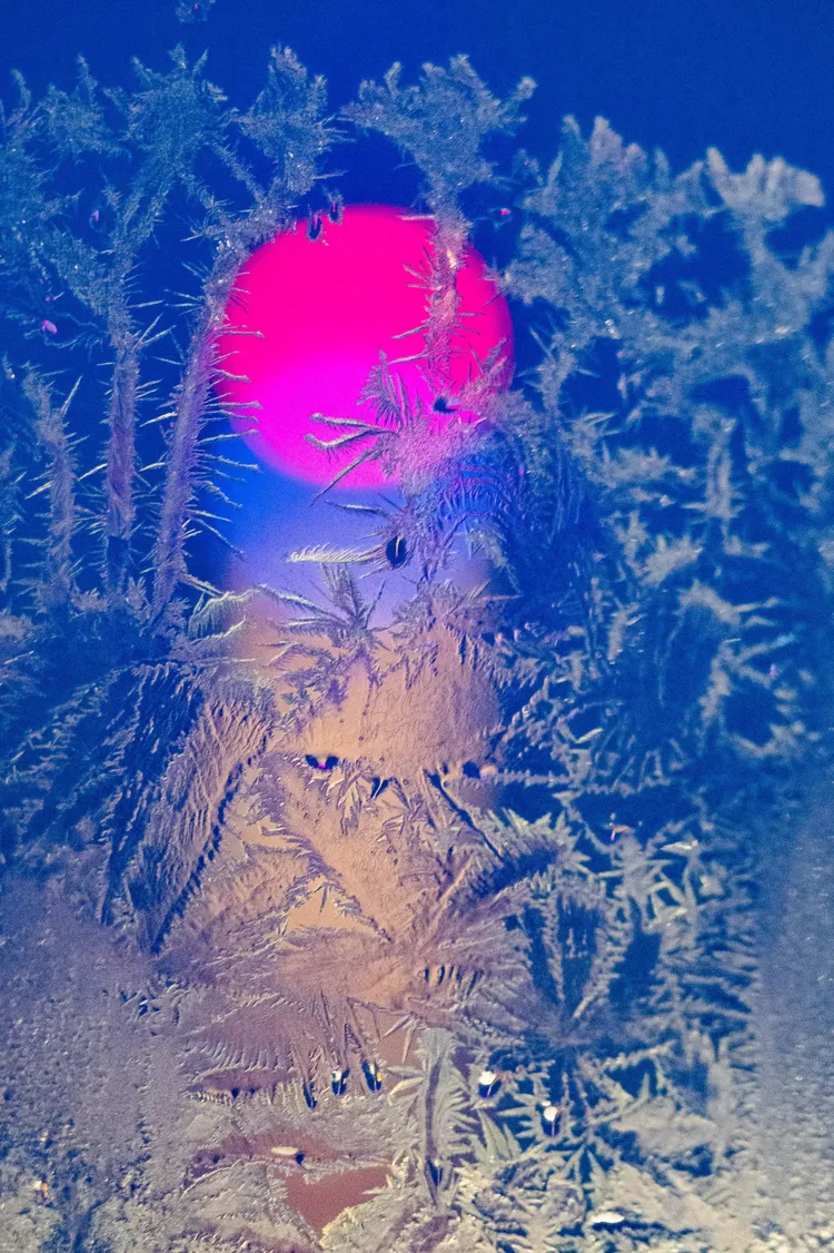 黑龍江市近日降至攝氏零下30度，窗戶玻璃出現夢幻「冰窗花」。新華社