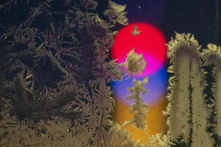 黑龍江市近日降至攝氏零下30度，窗戶玻璃出現夢幻「冰窗花」。新華社