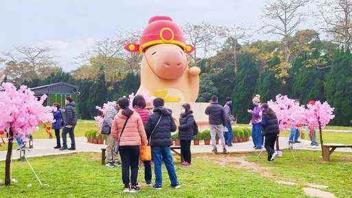 全台最萌豚財神!埔心牧場新春亮相 遊客爭相拍照求好運