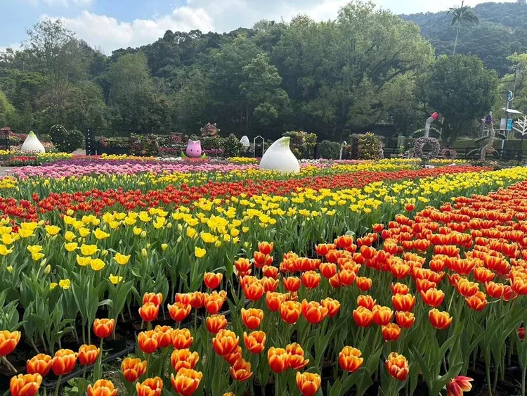 配合龍年元素以體現迷宮及花海展現「與龍相遇」的驚喜。臺北市工務局公園路燈工程管理處提供