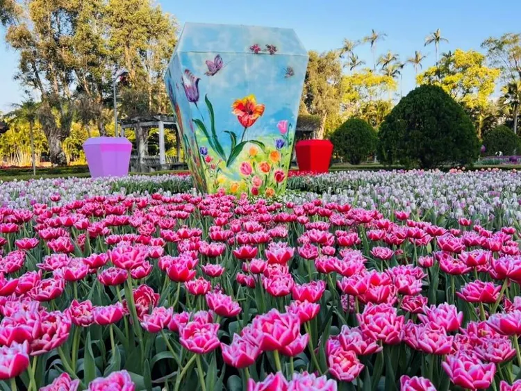 以台灣元宵節的彩繪天燈及燈籠搭配鬱金香呈現「世界好運~龍來點花燈」。臺北市工務局公園路燈工程管理處提供