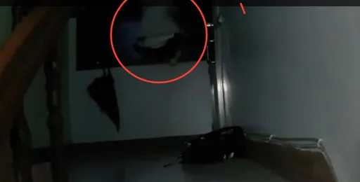 情侶吵架超展開!他這原因化身跑酷男 翻5樓窗飛簷走壁躲警!失手躲草叢落網