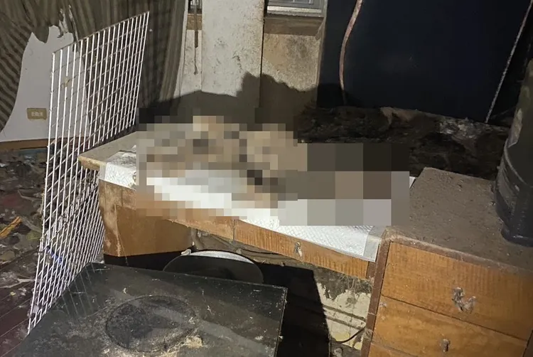 屋內狗屍。投訴人提供