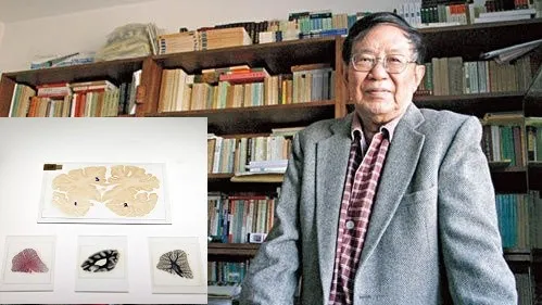 身首異處!中國知名哲學家「切頭冷凍」 看大腦裡有無「中華文化的殘跡」
