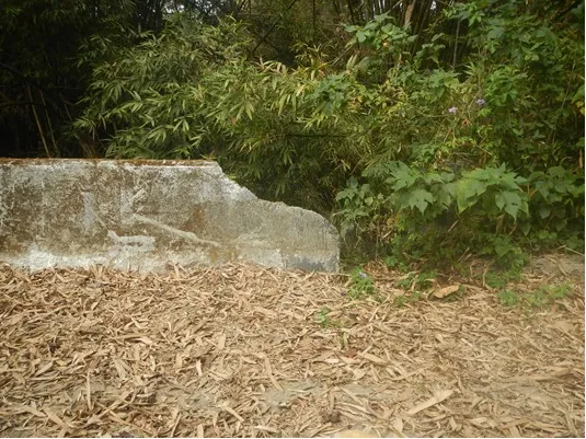 被害人陳屍地點。翻攝畫面