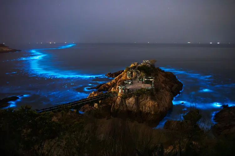 南竿鐵堡的藍眼淚非常聞名。馬管處提供、郭州宇拍攝