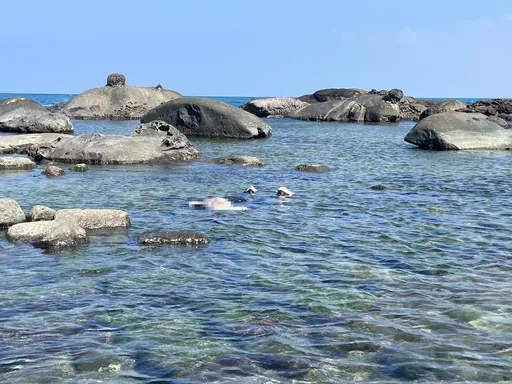 初三傳憾事!基隆潮境公園海域驚見女浮屍 消防員緊急打撈