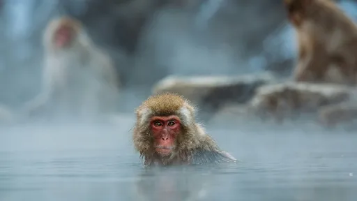 88歲翁潛旅館偷窺女澡堂春光　「不想看裸體是研究建築結構」