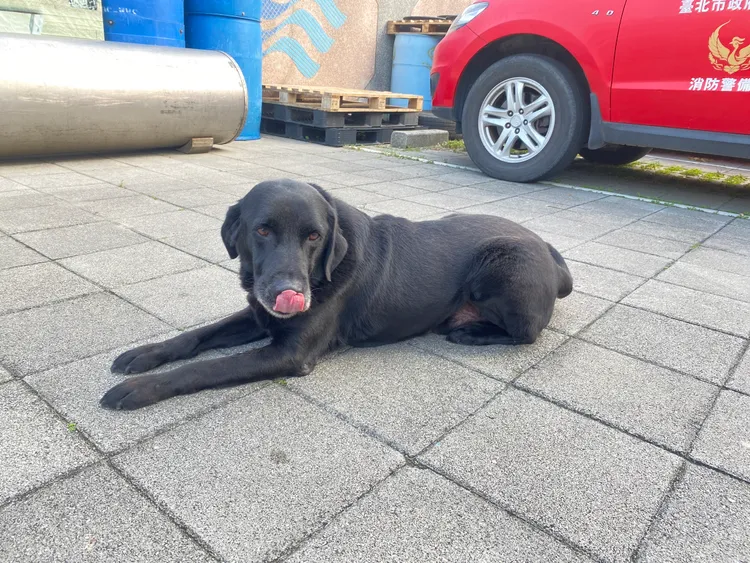 Usa曾參與太魯閣事件的救災。翻攝畫面