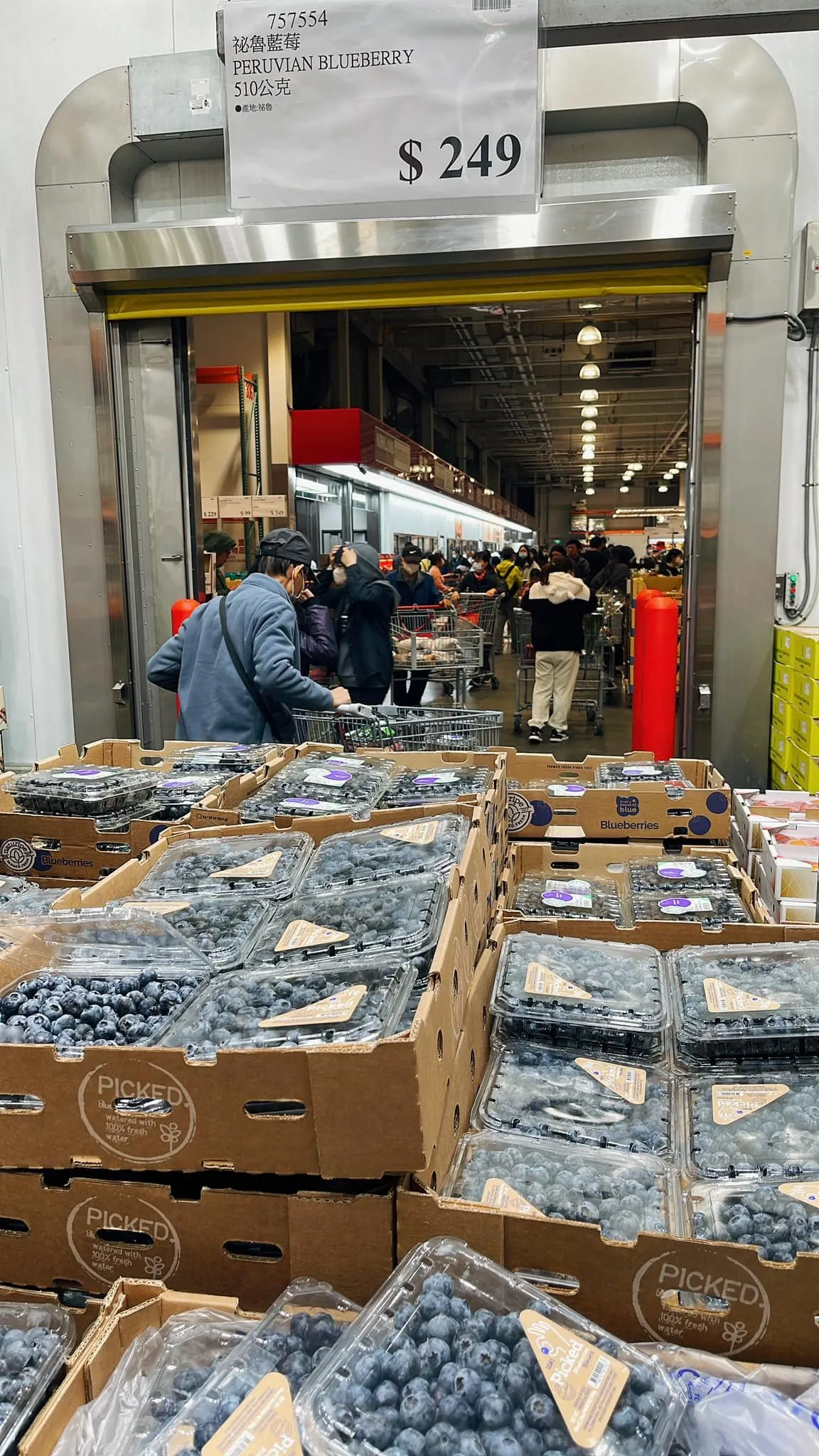 秘鲁蓝莓一盒249元。翻摄脸书Costco好市多 商品经验老实说