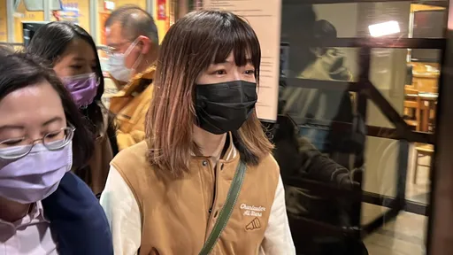 「甜心議員」林穎孟交保崩潰大哭！　5hr籌出100萬保金