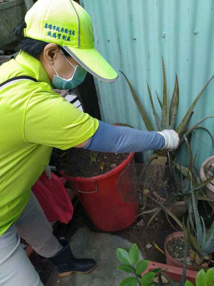 防疫人員在鼠類容易出沒地點布放鼠籠