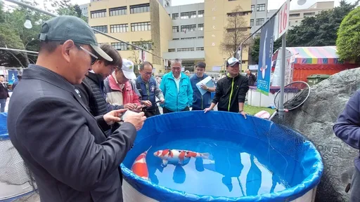 元宵節錦鯉博覽品評會 百萬國寶級錦鯉現身桃園